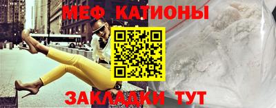 стаф Можга