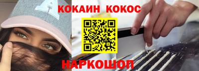 стаф Можга