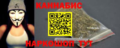 стаф Можга