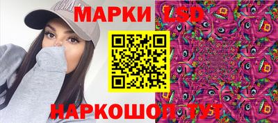 гидра Моздок
