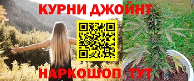 гидра Моздок