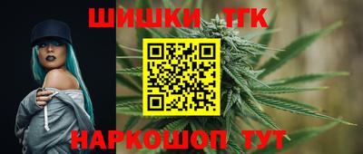 гидра Моздок