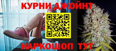 гидра Моздок
