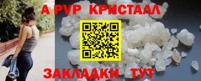 стаф Можга