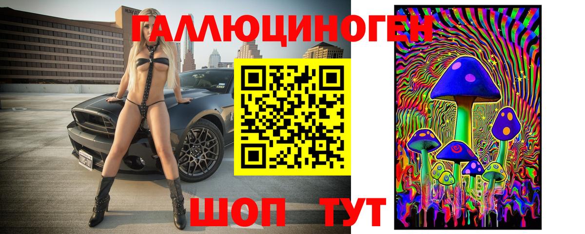 Галлюциногенные грибы Psilocybine cubensis Ступино