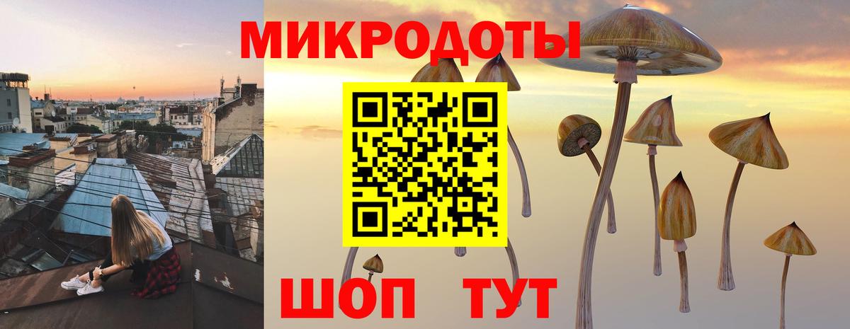 хочу   Вход с VPN  Псилоцибиновые грибы мицелий  Ступино  Псилоцибиновые грибы мухоморы 