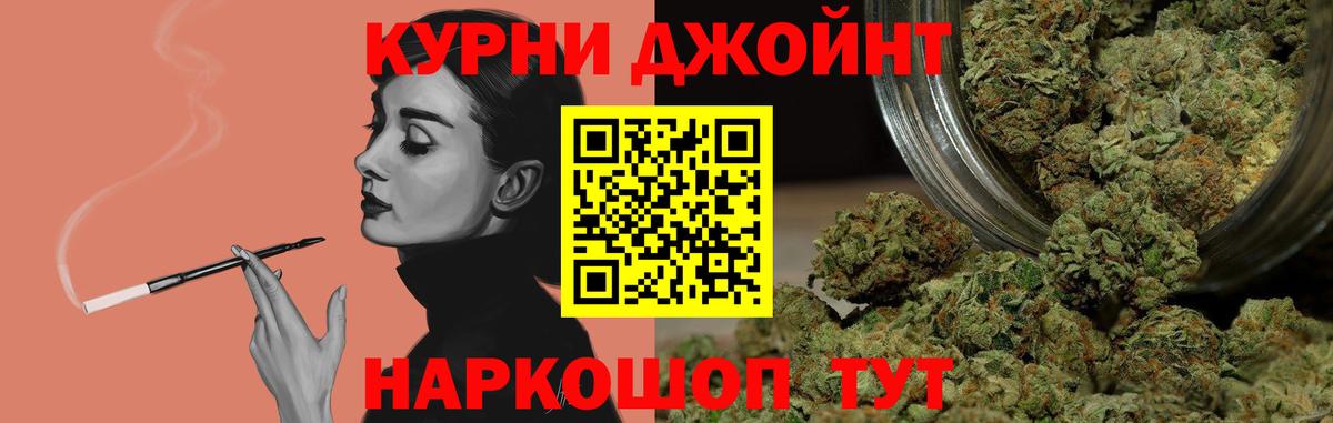 Канабис White Widow  Каннабис план  Ступино  Вход с VPN  Каннабис SATIVA & INDICA 